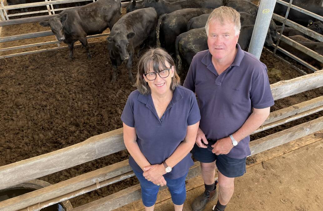 Anne and Wayne Malseed, Forest View, Myamyn, sold 30 Angus heifers on Thursday.
