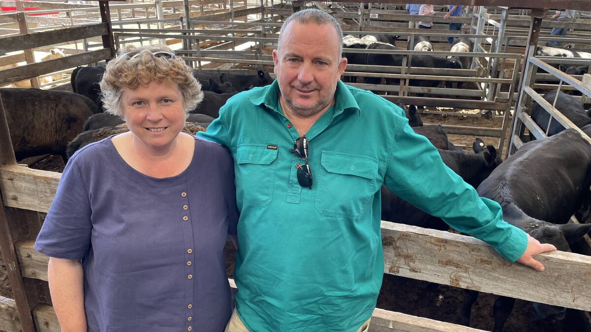 Chris and Julie Male, Green Hills, Tyrendarra, sold 47 Angus heifers at Hamilton.