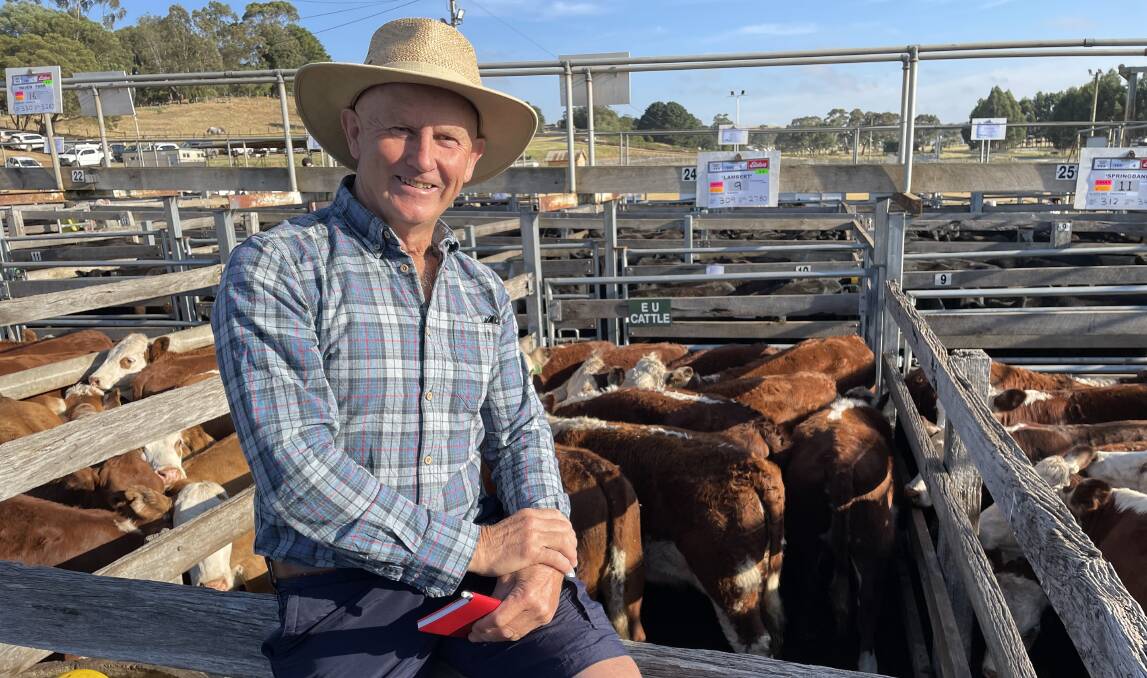 Geoff Lambert, Paschendale, sold 29 Hereford heifers, and retained 70 from the 2022-drop to join to Hereford bulls in May.