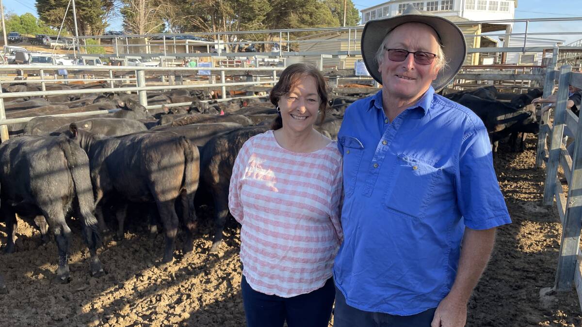 Karyn and Chris Jarrod, Forest View, Sandford, sold 68 Angus heifers at Casterton.