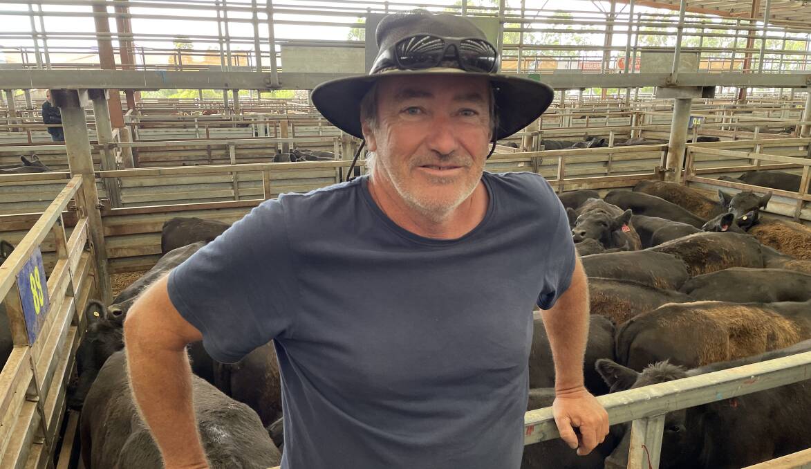 Bill Cleeland, Pastoral Cove, Phillip Island, sold 29 Angus steers at Pakenham on Thursday.