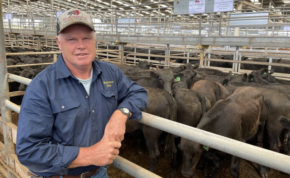 Bart Dowling, Mirboo, sold 110 Angus and Angus/Murray Grey-cross steers.