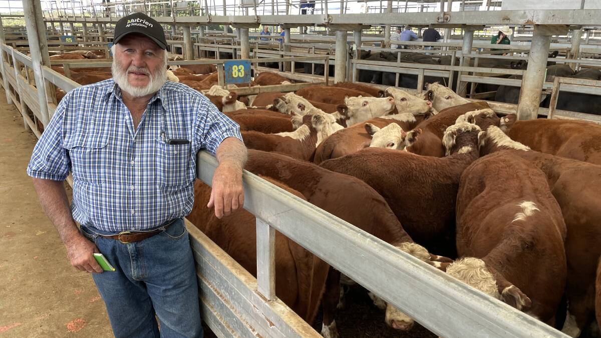 Nutrien Yea agent Peter Tull represented Rostella Pastoral, Yea, which sold 129 Hereford and Hereford/Simmental-cross steers at Leongatha on Friday.