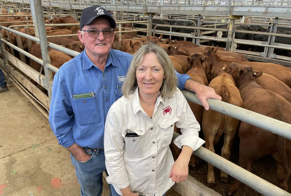 Kevin and Libby Heggen, Binginwarri, sold their annual draft of 109 Red Angus steers, nine to 11 months, at the weekly store market.