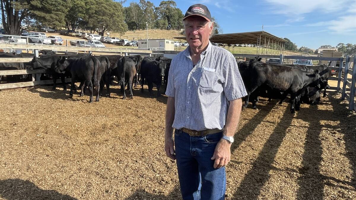 Doug Robertson, Nangana, Grassdale, sold 170 Angus heifers, 10-11 months, to a top price of $2157.