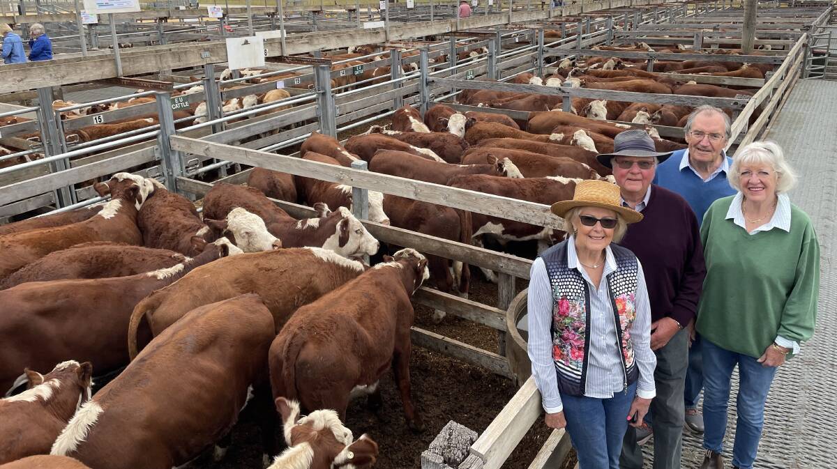 Carol and Cam Emerson, Alva Downs, Tahara, sold 100 Hereford steers at Casterton on Wednesday. Pictured with Mr Emersons sister and brother-in-law, Lindy and Michael Seymour who were visiting from Wiltshire in south-west England.