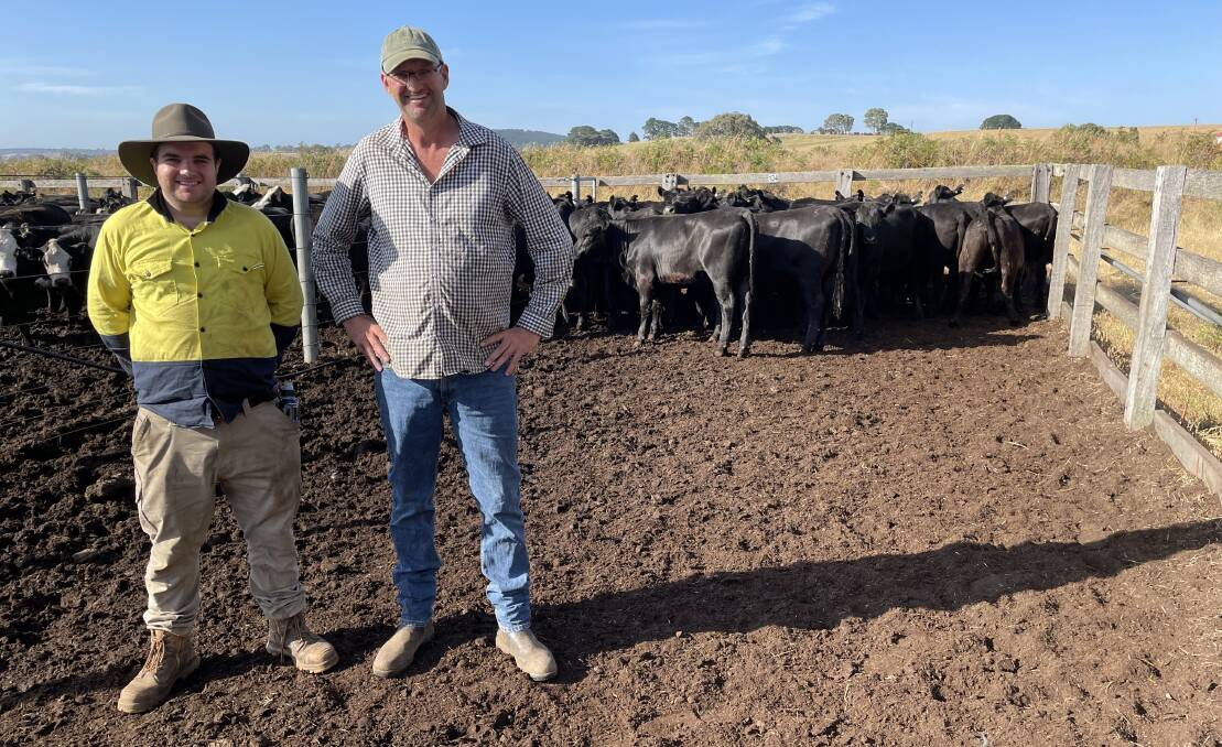 Jack and Mark Storer, Kleenview Pastoral, Hotspur, sold 176 Angus and Black Baldy heifers at Casterton.