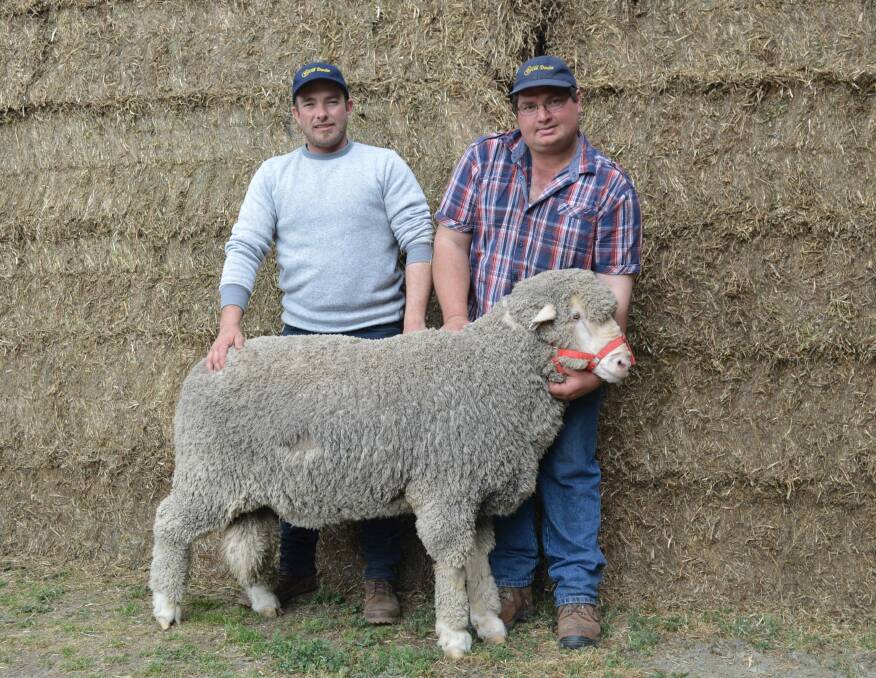 PADDOCK RUN: Old Dundee co-principals Russell and Jason Hodder, with Lot 12, a paddock-run Merino ram, who fetched the top price of $1400 at the all day sale.