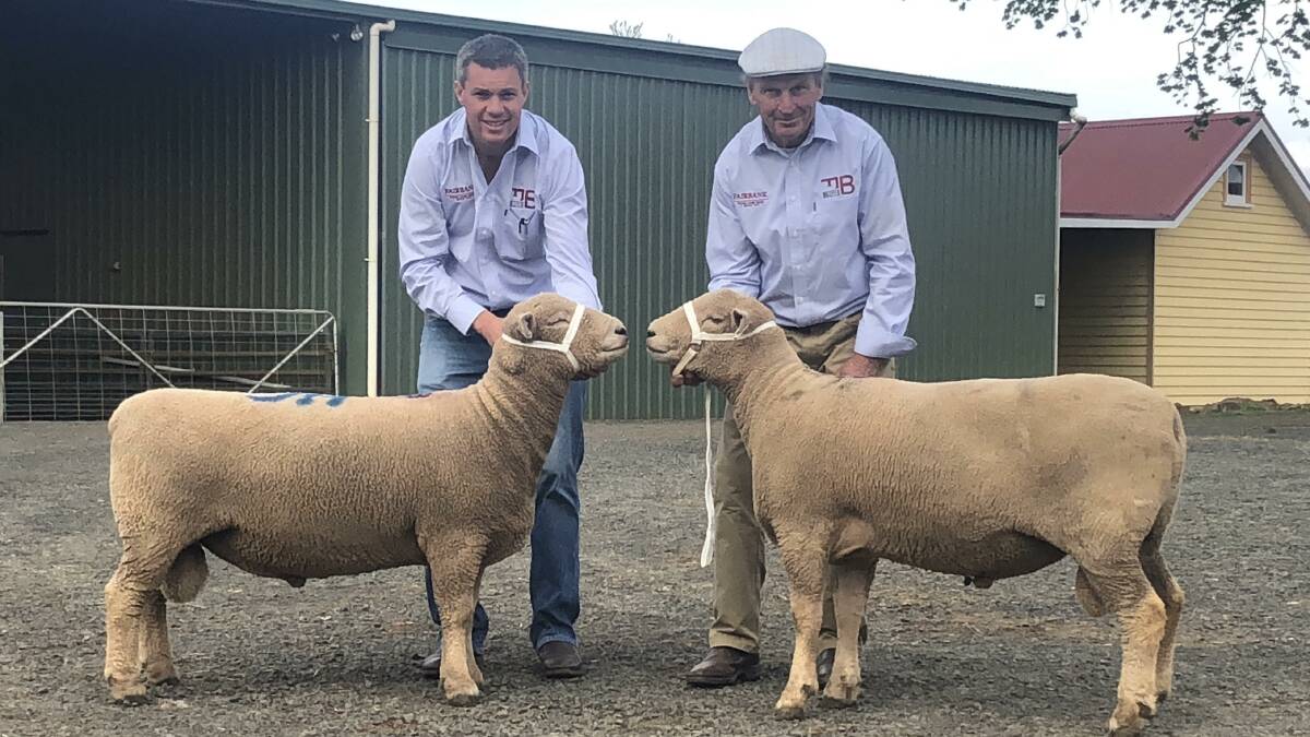 TOP PRICED DUO: Fairbank stud co-principals, Chris and Frank Badcock, with the Lot 28 top-priced ram, which sold for $6500, and the second top-priced ram, Lot 25, which sold for $5000.