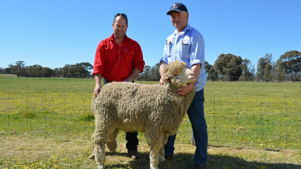 VALUE BUYING:  Volume buyer Spencer Martin, Concongella, with Forest Springs Merino stud principal, Bruce Dean, and the second top priced ram he purchased for $2250.