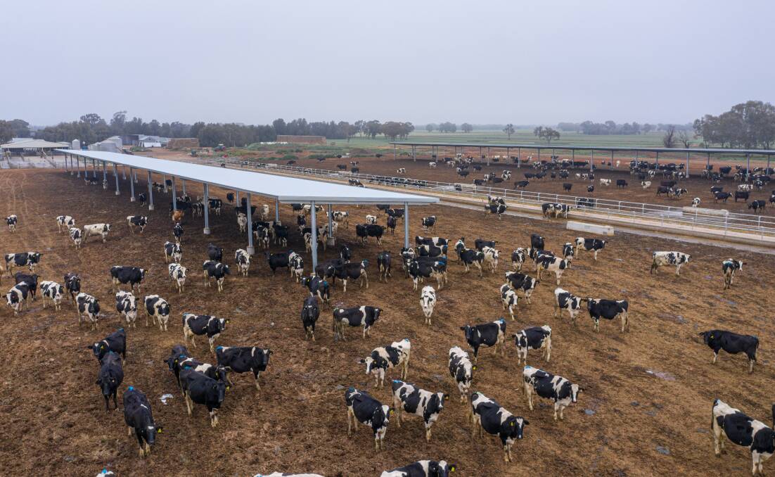 Future-proofing the dairy farm in Northern Victoria