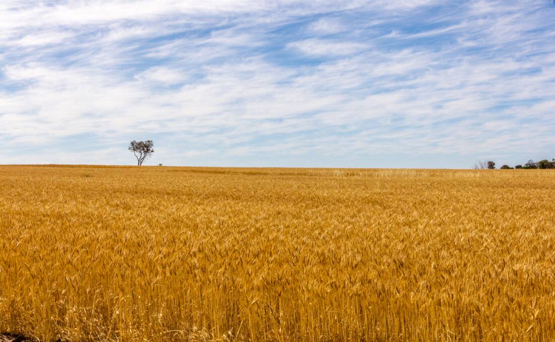 An investment in Australian agriculture with low risk marketing solutions for grain farmers