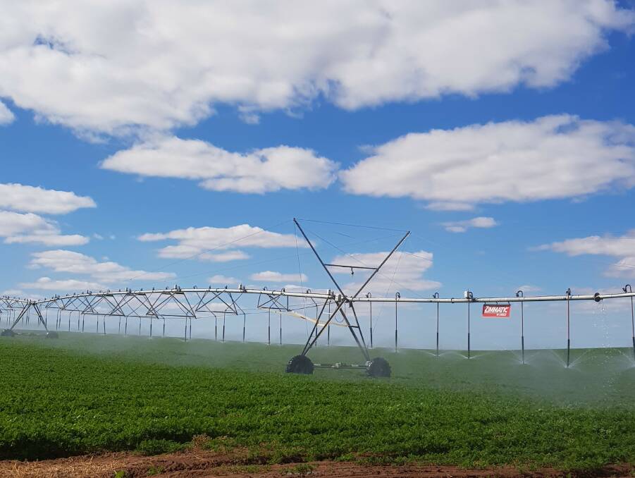 New award recognises excellence in irrigation