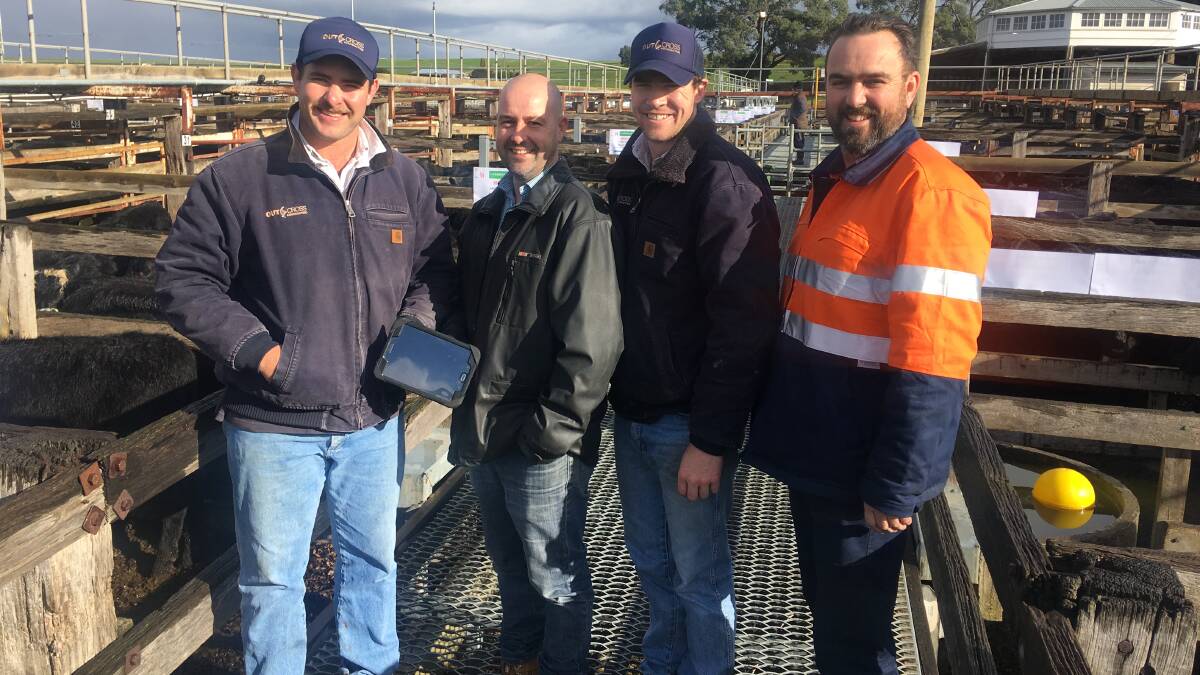NEW TECH: Outcross Victorian operations manager Peter Brooker with Glenelg Shire Council saleyards manager Michael Doherty, Outcross NSW operations manager Mark Buttenshaw and Glenelg Shire Council saleyards assistant Dean Munro.