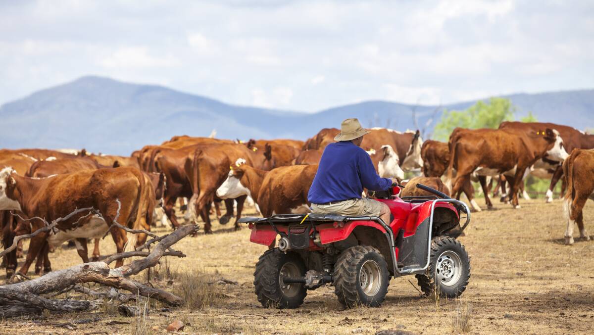 FARMERS START THEIR ENGINES: Strong buying by farmers has given sales of quad bikes and side-by-sides a hefty lift in the first six months of 2020. 