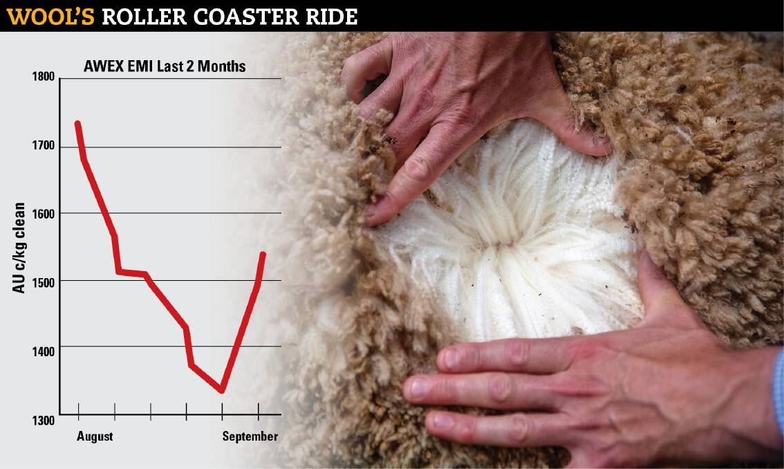 Wool bounces to record price rise
