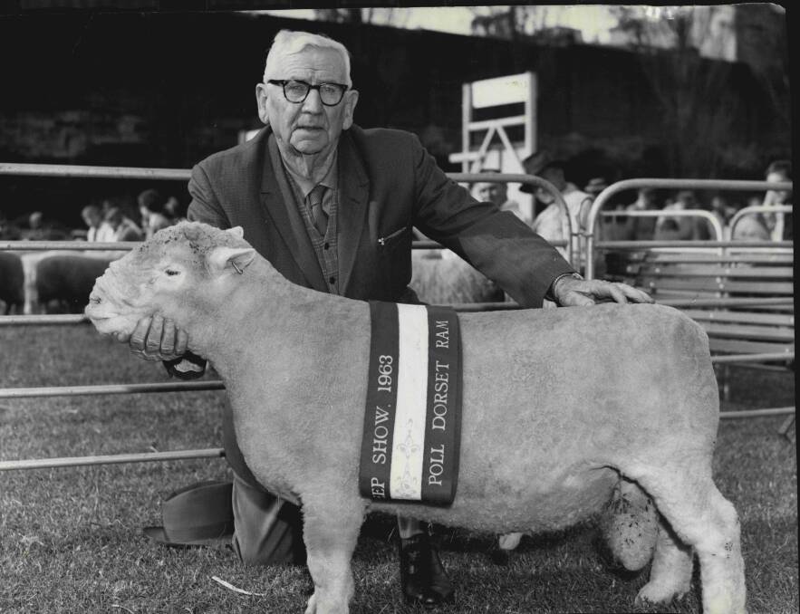 FOUNDING FATHER: Williams Dawkins, Newbold stud, Gawler River, SA, with a champion Poll Dorset ram at the Sydney Show in 1963. 