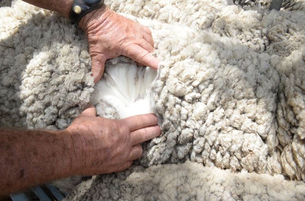 CHALLENGING TIMES: The spread of the coronavirus around the world is weighing heavily on the Australian wool market. 