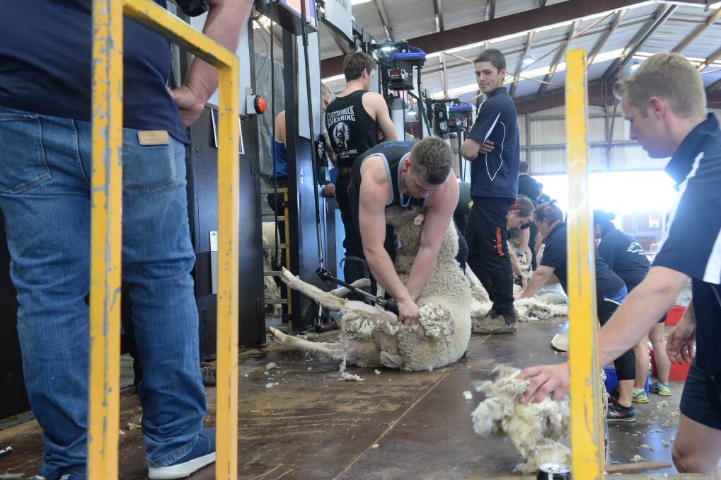 STEADY AS SHE GOES: The wool market finished the first day of selling this week on a positive note but growers are wary about the impact of coronavirus on Chinese mills. 