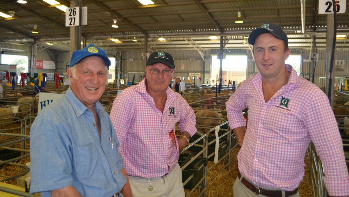 James Corcoran senior and James Corcoran junior, Gooramma Poll Dorsets, Galong, NSW South West Slopes, will open their stud on day one of Sheep Week.   
