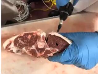 A SHARP SOLUTION: The adaption of Optical Coherence Tomography (OCT) technology which uses needle imaging is showing promise as a tool for measuring marbling in lamb carcases. 