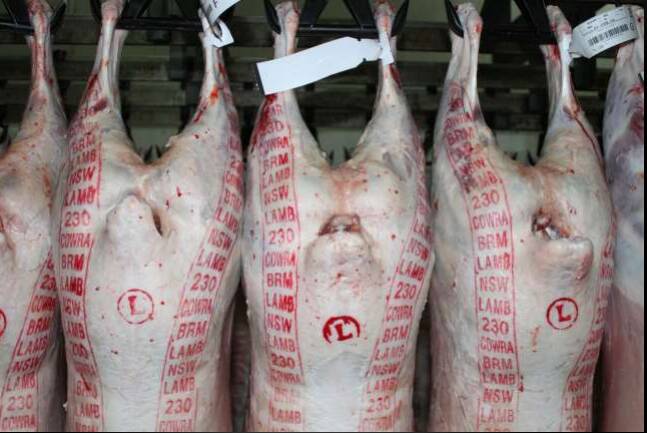 TOP CARCASES: Lamb prices have soared so high that the top retail butchers will only accept the best quality. 