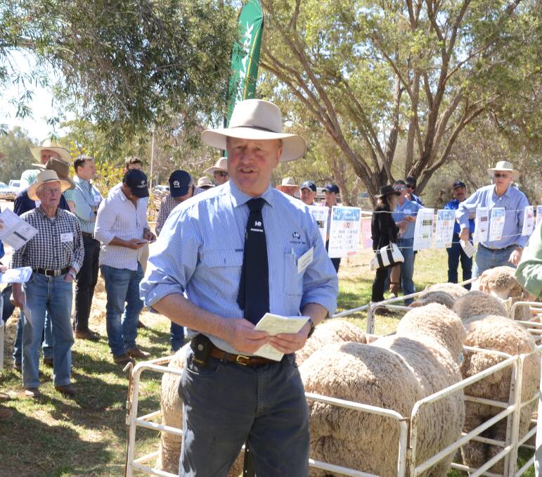 REBUILD THE FLOCK: George Falkiner, Haddon Rig stud, Warren, says he will move to rebuild the sheep flock and focus research on allowing the cessation of mulesing if elected to the board of Australian Wool Innovation. 