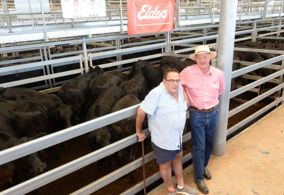 Mark Wallace in front of his top-selling pen at the Barnawartha selling complex near Wodonga with his agent, Stephen Street, Elders Myrtelford, Vic. 