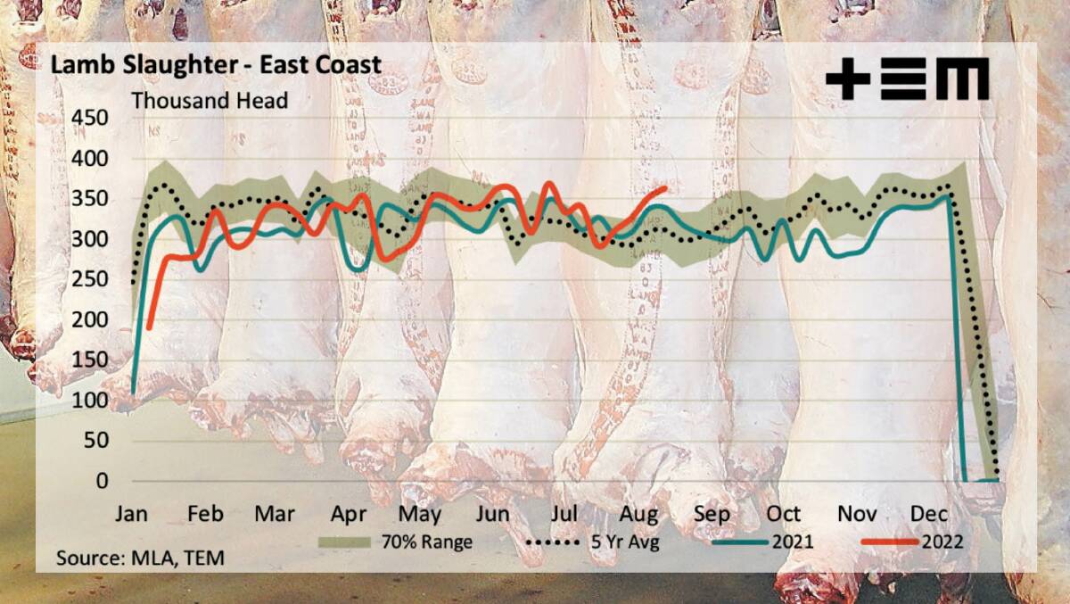 RISING: Lamb slaughter struck its second highest level of the year last week when it hit 409,608 head.