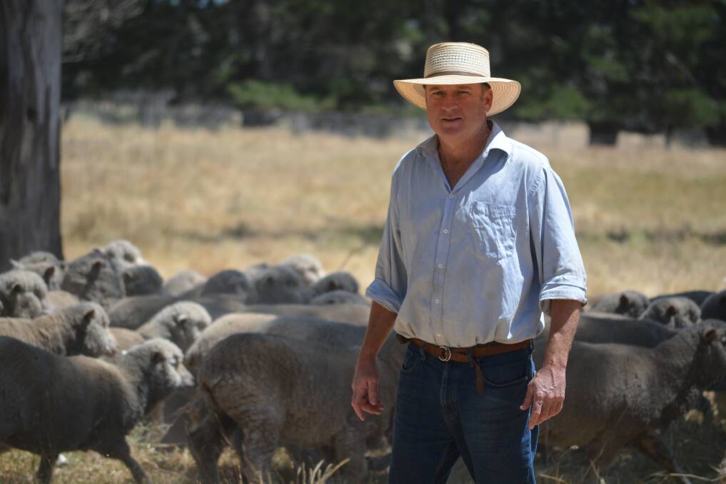 BOSS: WoolProducers Australia president Ed Storey is adamant wool is the most sustainable fibre on the planet. 
