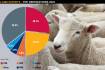 US demand for lamb not a flash in the pan