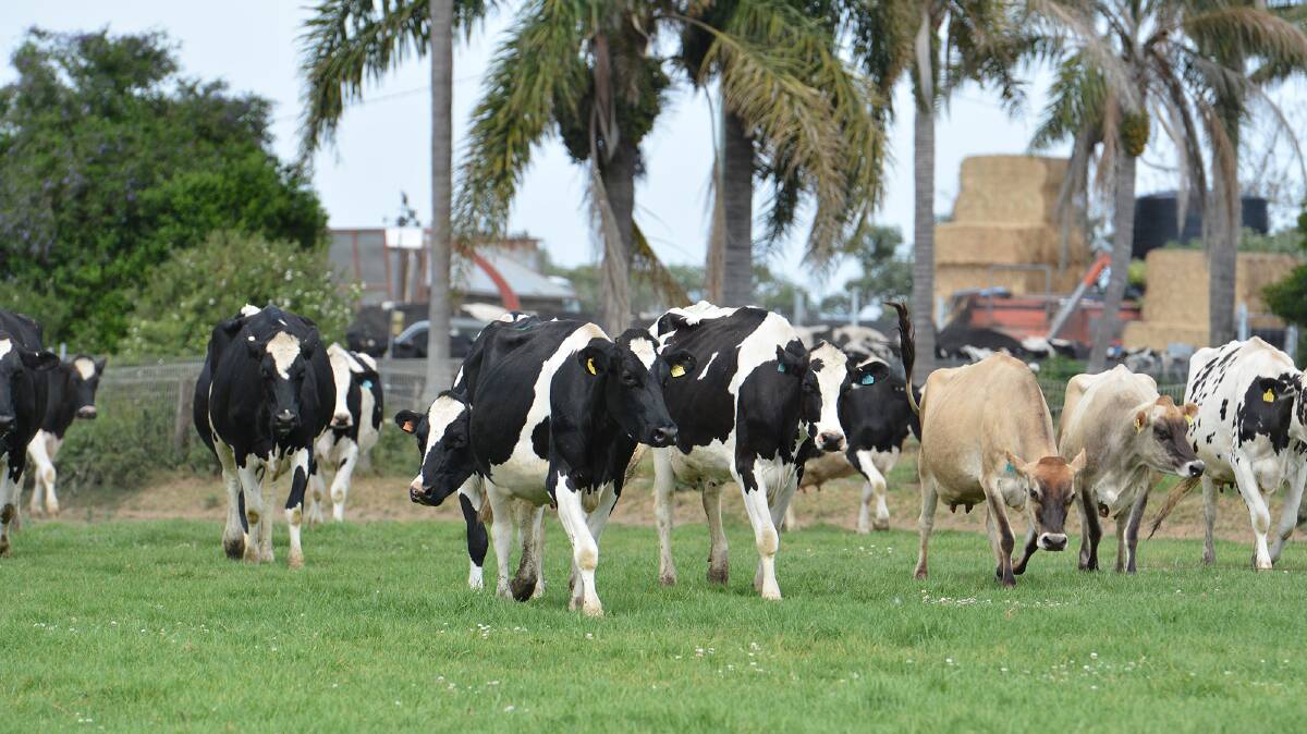 Advocacy bodies and processors should be separated when it comes to dairy representation, according to grower body.