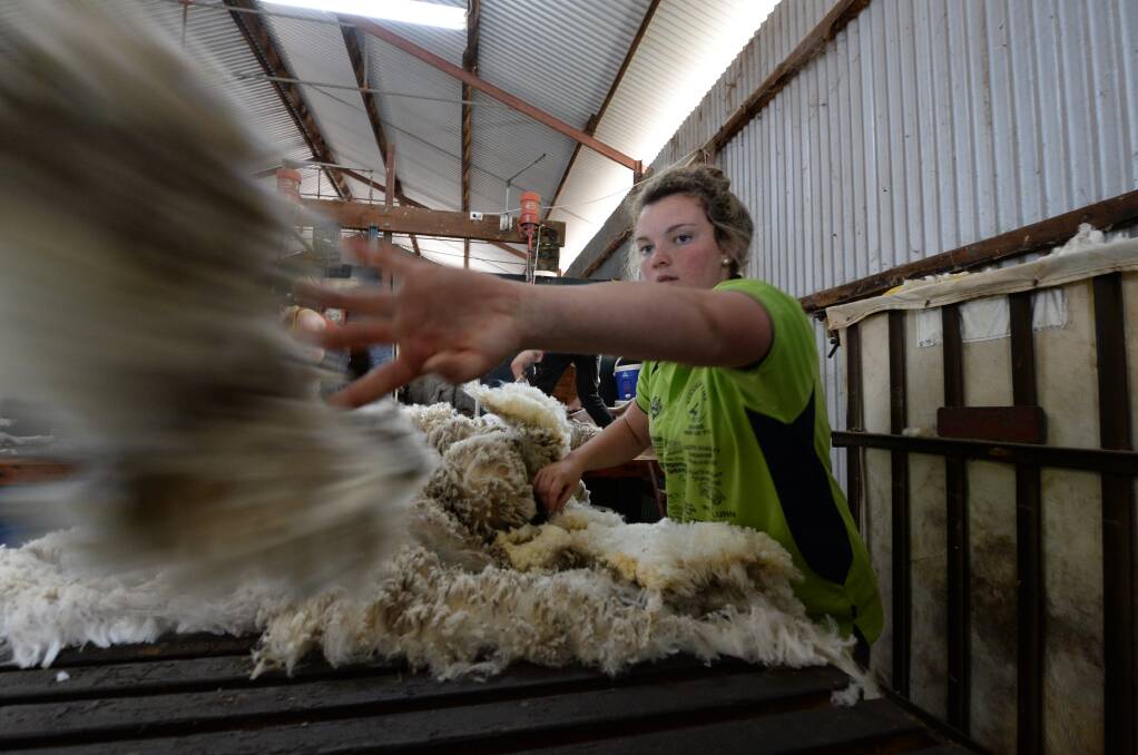 Wool market comes off the boil
