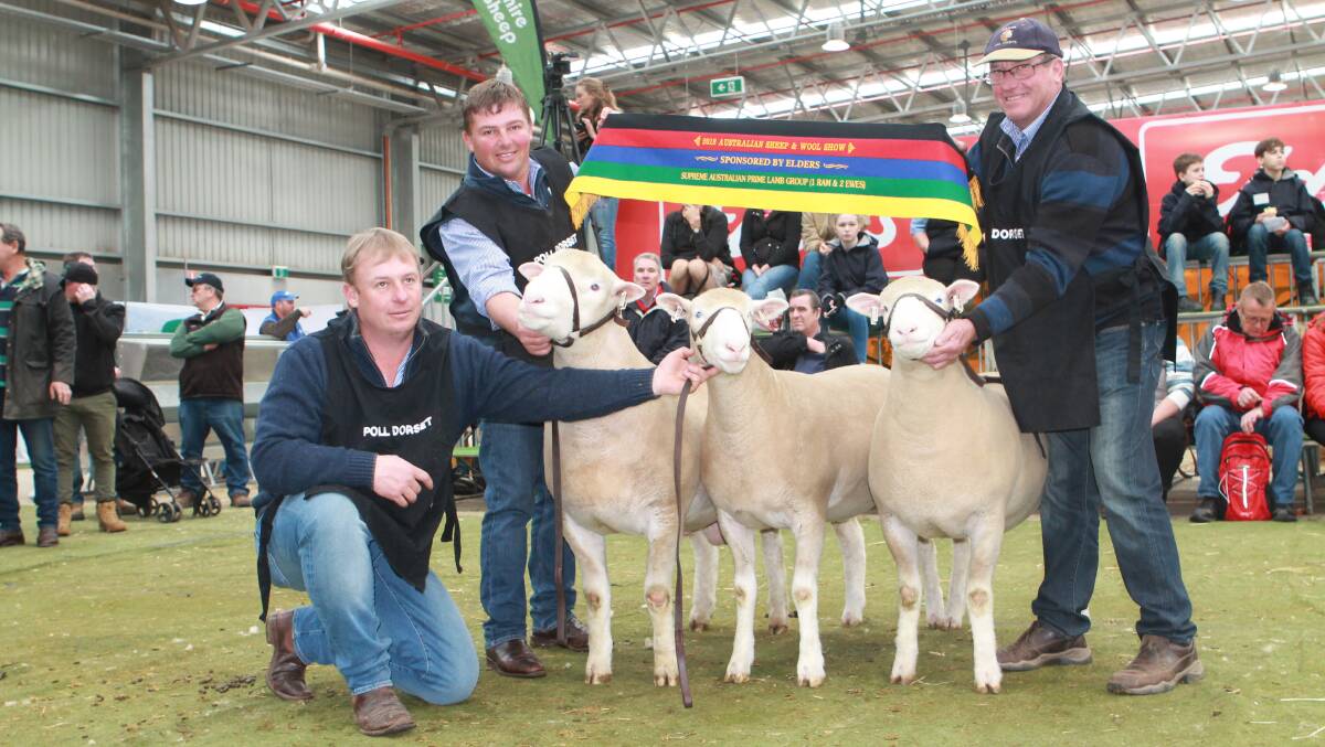 Supreme prime lamb ASBA group was won by the Frost family of Hillden stud, Bannister. Pictured is Anthony, James and Brian Frost.  