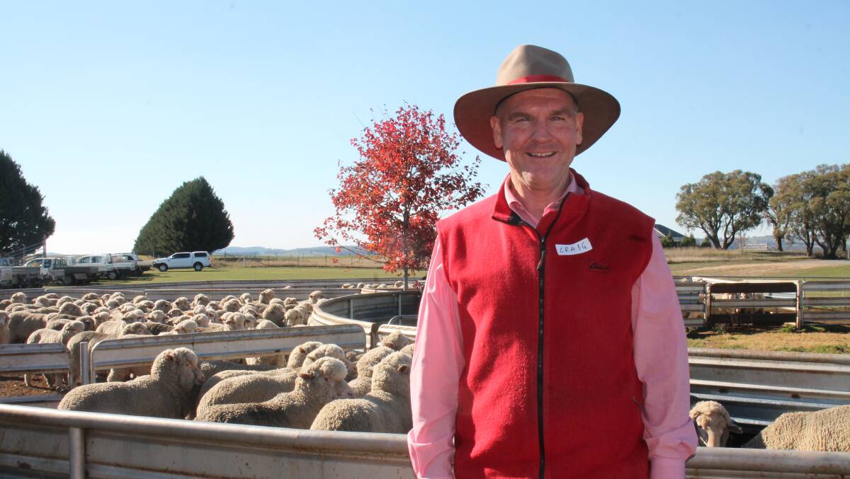 Elders technical wool manager Craig Brennan said the industry is struggling with the number of fine wools entering the market. 
