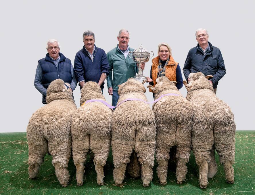 GROUPS: The Lionel Weatherly best exhibit of five Merino sheep went to Trefusis stud, Ross, Tasmania, with John Groves, Bruce Dunbabin, Swansea, Tas, Andrew Calvert, Georgina Wallace, and John Taylor, Campbelltown, Tas.