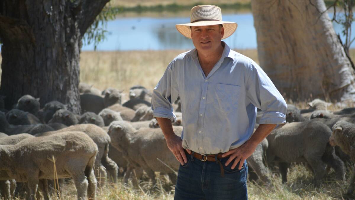 WoolProducers President Ed Storey