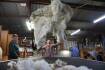 Relative calm to keep wool market afloat