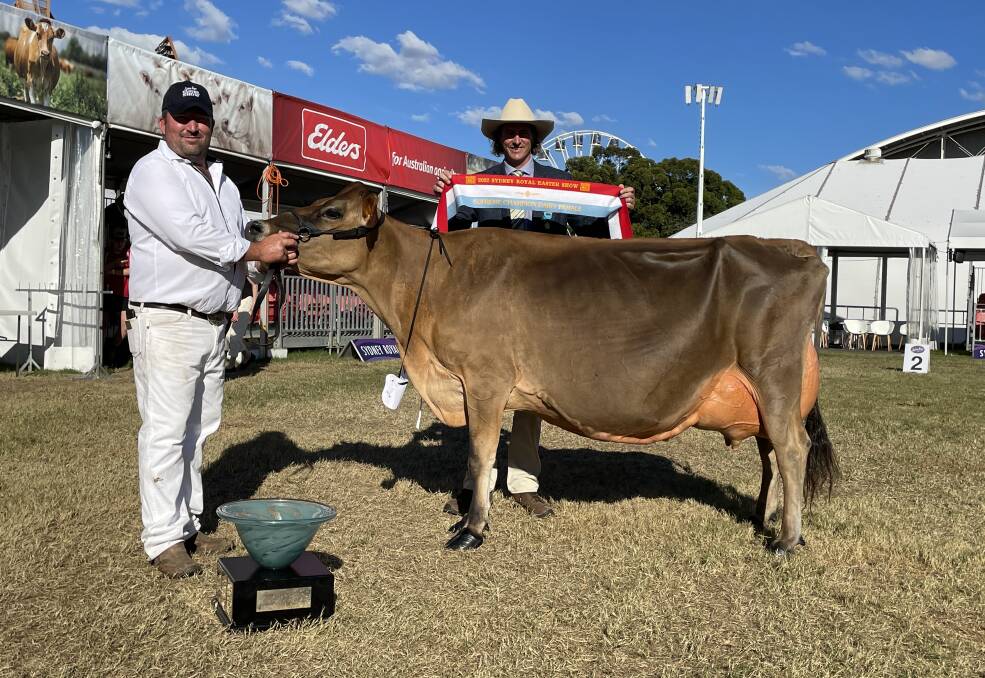 WINNER: Sydney Royal supreme champion dairy female Bushlea Irwins Jenny with exhibitor Rocky Allen and Michael MacCue, RAS cattle committee.