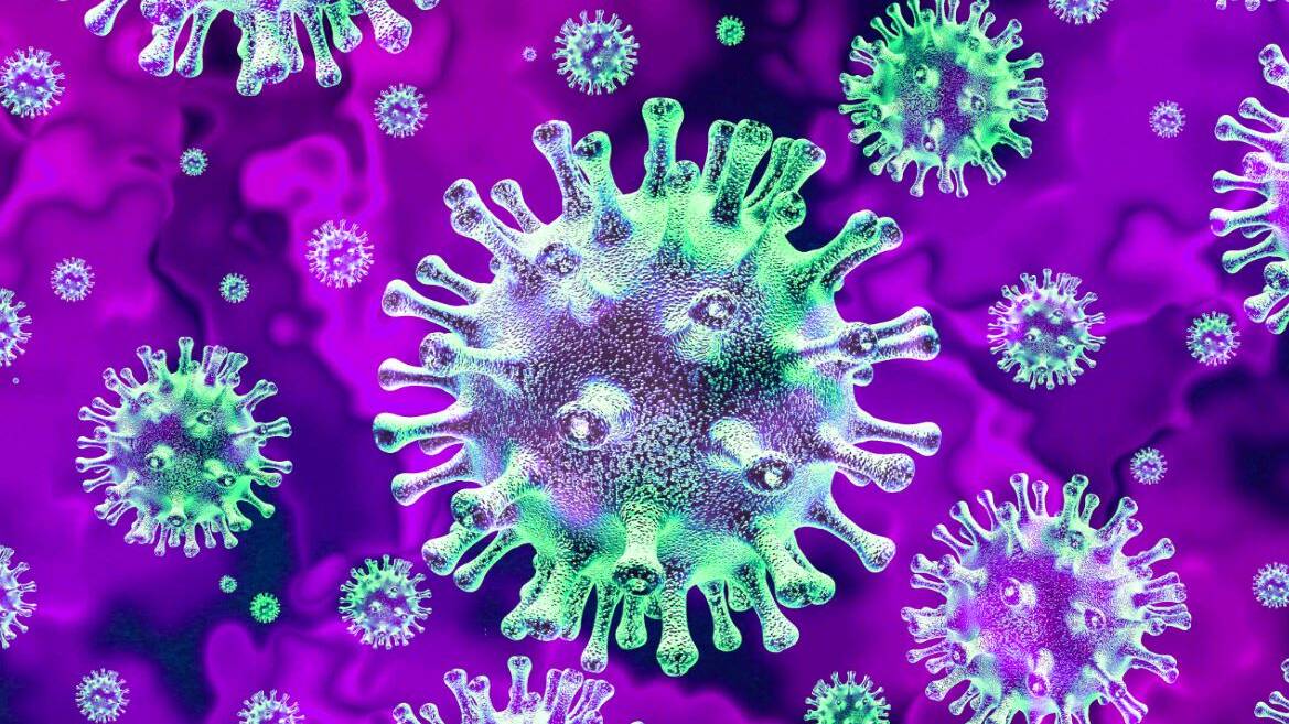 Coronavirus active since August: Harvard research