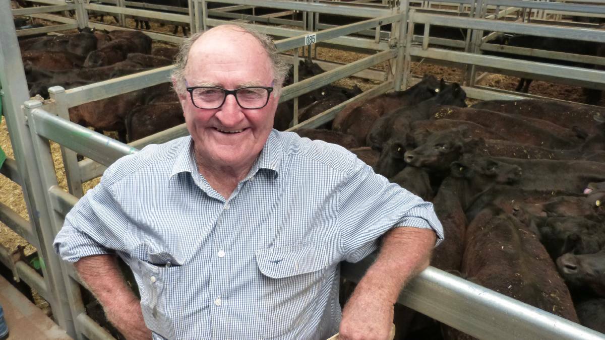 Michael O'Brien, Brigalows Past Co, Carinda, proclaimed he got out of jail, selling his very light steers at Barnawartha from $705-$950.