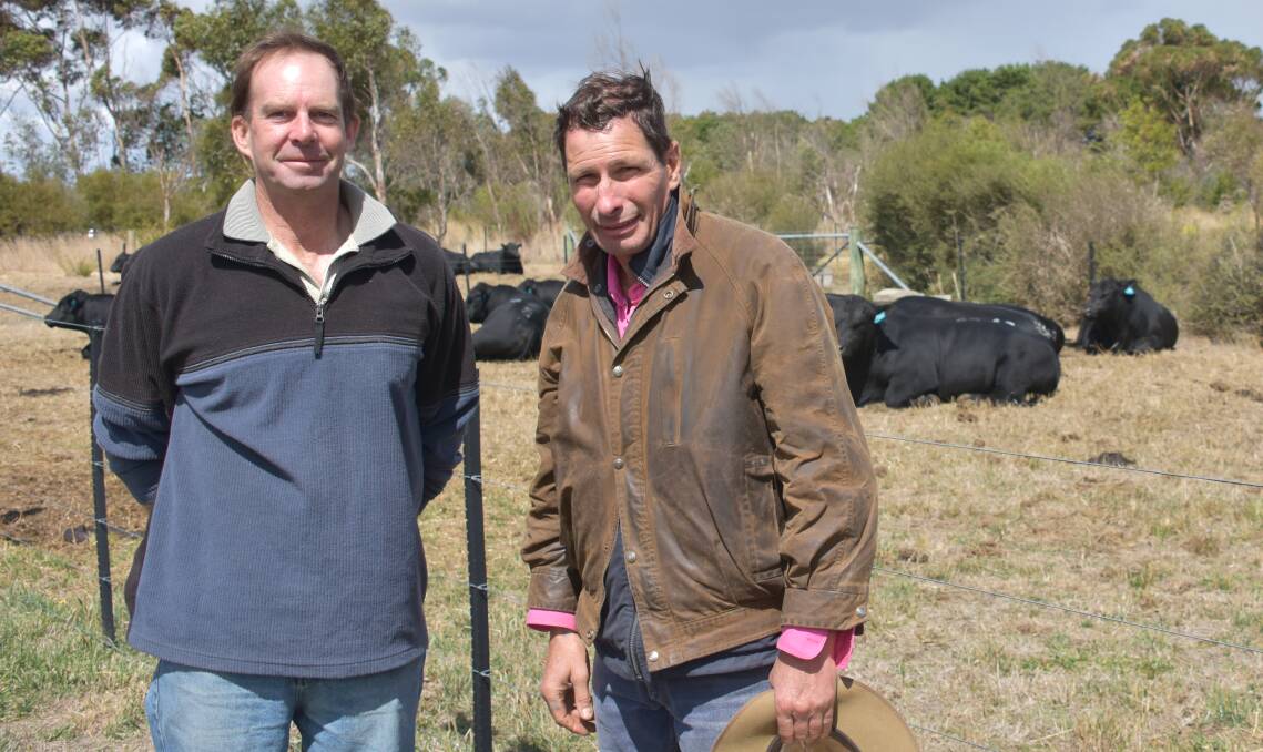 VOLUME BUYER: Mark Johns, Cobden, purchased 11 bulls for his heifer trading enterprise, with Te Mania director Hamish McFarlane.