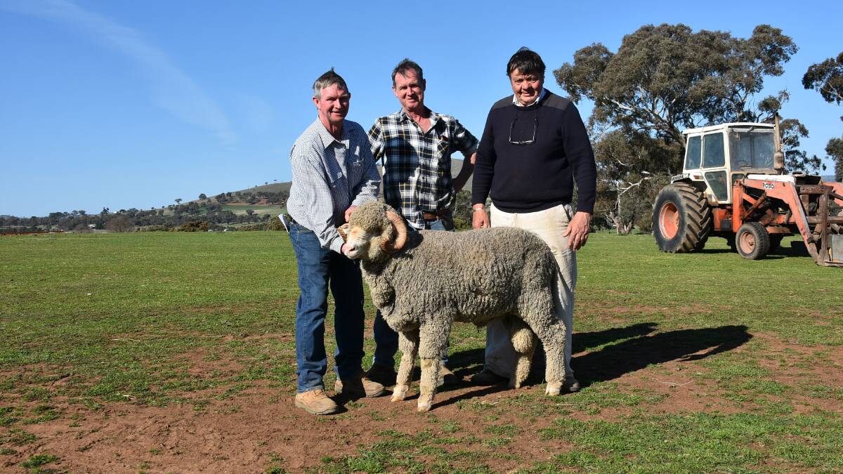 Equal top buyers Pat and Andrew Davies, Harden, NSW, with Merryville's Wal Merriman.