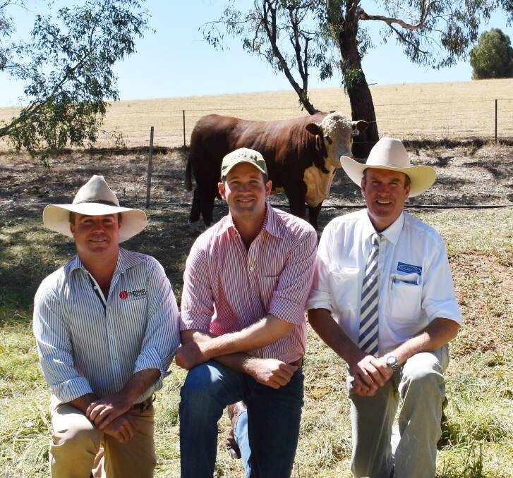 Injemira principal Marc Greening with purchaser of $50,000 top-priced bull, Sam Becker, Jarrah Cattle Co, Banana; and guest auctioneer Paul Dooley, Tamworth.