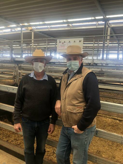 Brian Proctor and Craig Schubert, Schubert Boers with a pen of six Angus heifers, 358kg, from N and V Barker, Indigo Valley, Vic, which sold for $2050. Photo: NVLX
