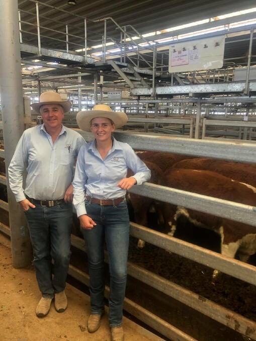 Craig Schubert and Georgie Schulz, Schubert Boers with 20 Hereford heifers, 450kg, from J and WJ Carmody which sold for $1670. Photo: NVLX 
