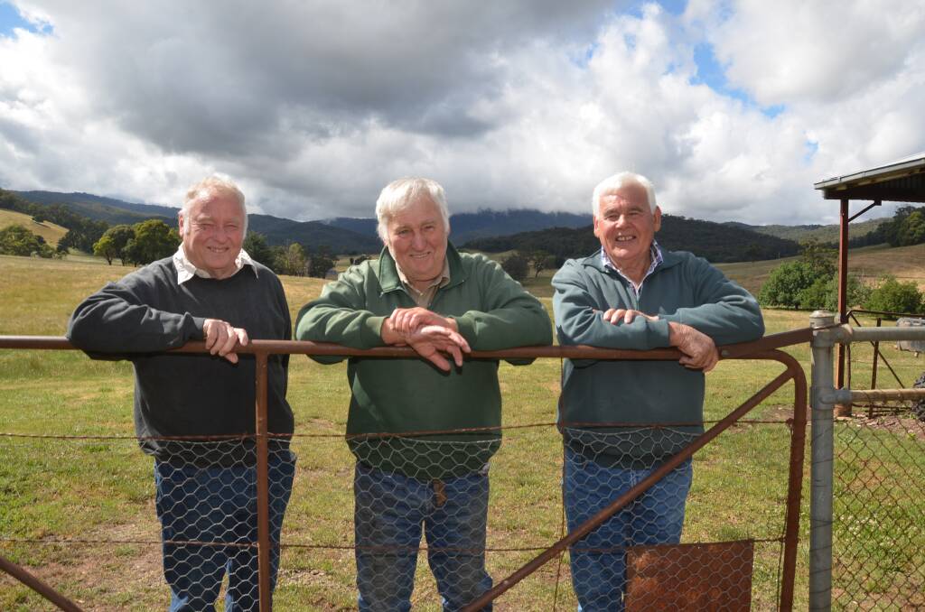 BEST MATES: Renowned cattle breeders David, Graham and Ian Webb from Tallangatta Valley are ready for the next chapter. 