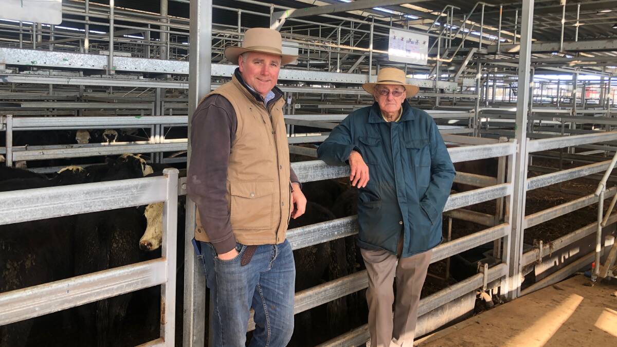 Craig Schubert, Schubert Boers with Bill Weidner, inspecting the cattle prior to the sale. Photo: NVLX