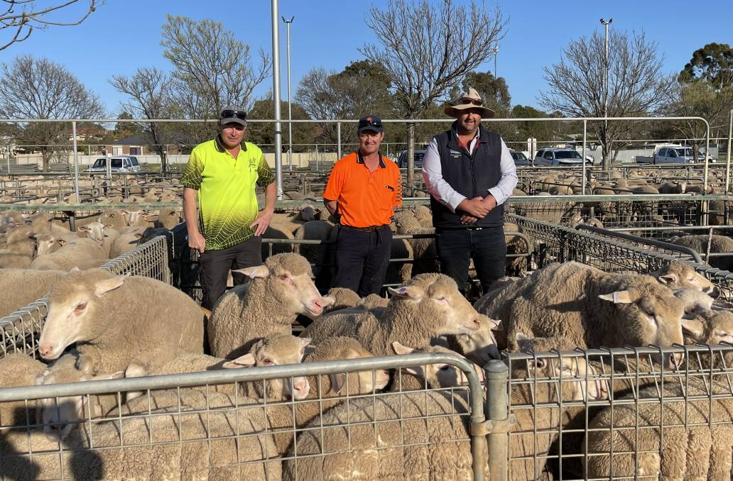 Jarrod Munro, Matt Retallick and BR&C agent Rory Singleton at the Ouyen sale where Menindee grazier Terry Smith donated 25 lambs to help repay the kindness of the farmers who organised a hay run during the drought. Photo: BR&C 