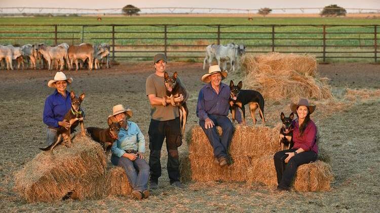NEW: The cast (and dogs) of Australia's much loved documentary mini-series Muster Dogs season one. Photo by Ambience Entertainment.

